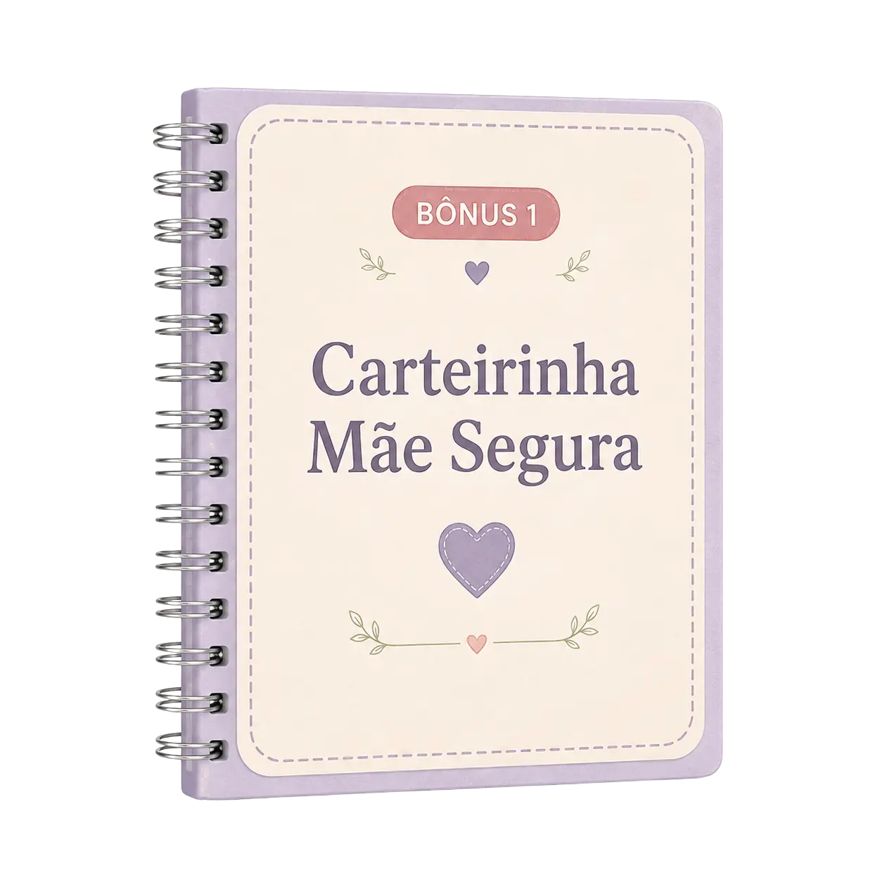 Bônus 1: Carteirinha Mãe Segura