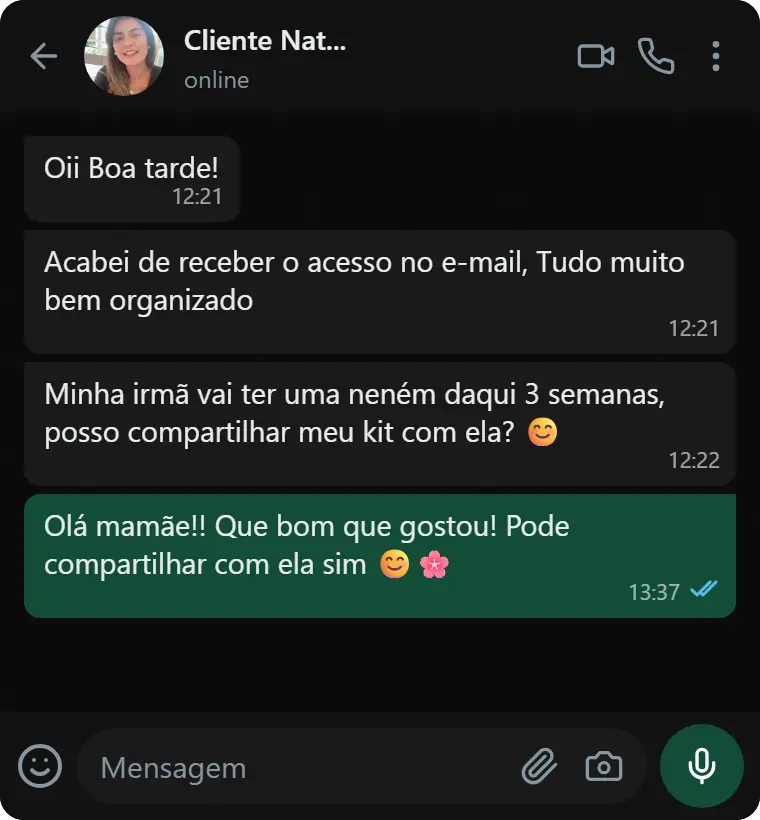 Mensagem de cliente no WhatsApp: Acabei de receber o acesso no e-mail, tudo muito bem organizado